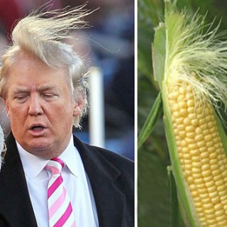 meme trump indonesia